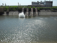      <br> 4