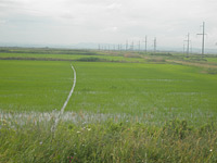       <br>      <br>    12.