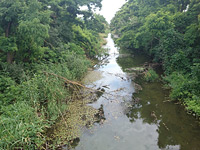   ,     <br>, 